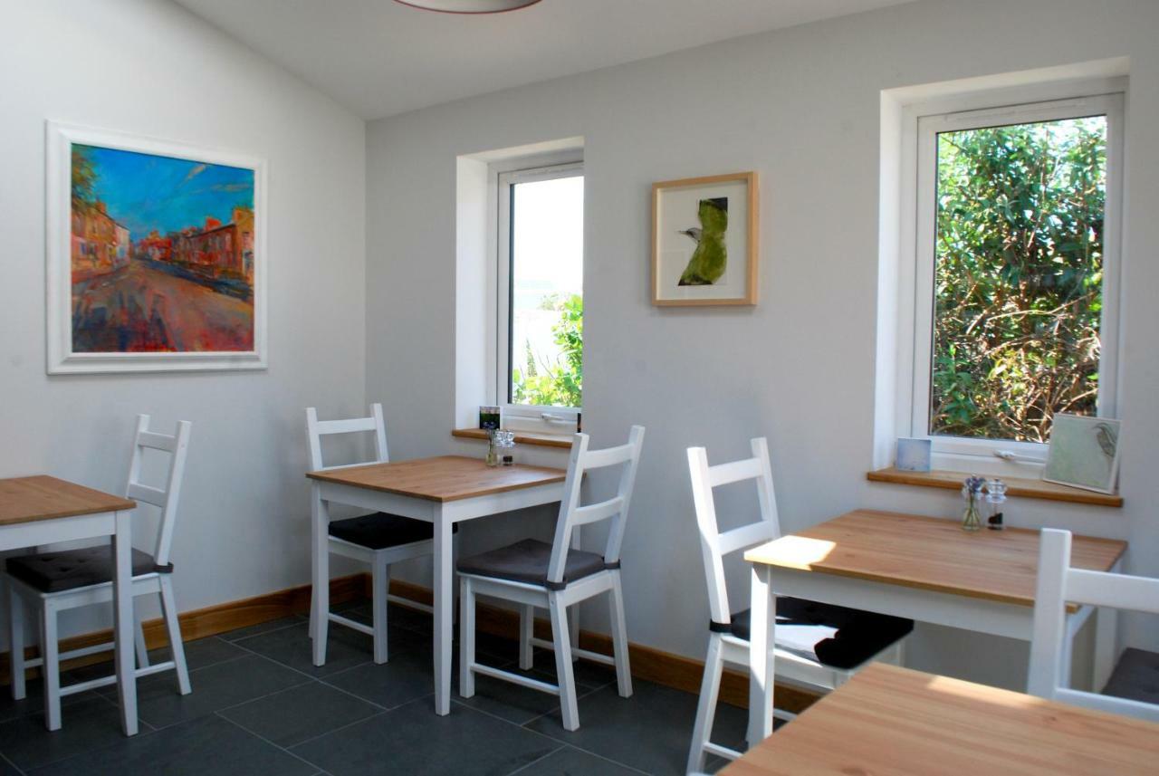 Ty Boia Bed & Breakfast St. Davids  Ngoại thất bức ảnh